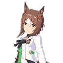 レース