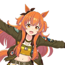 レース