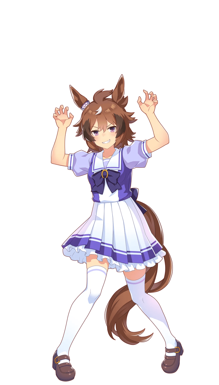 Shinko Windy - Padrão